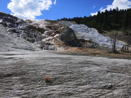 formations at Mammoth Hot Springs, Yellowstone, N.P.